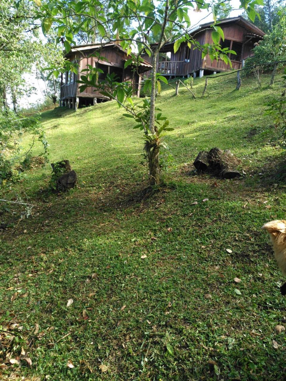 Cabanas Don Camilo Albergue De Montana Cabecera de Canas Exterior photo