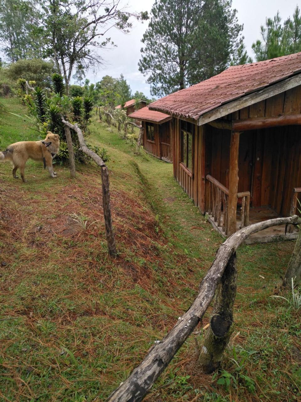 Cabanas Don Camilo Albergue De Montana Cabecera de Canas Exterior photo